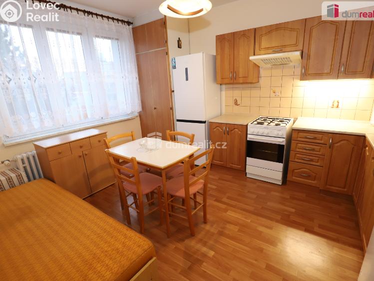 Pronájem bytu 1+1 Aš, Dlouhá č. 1