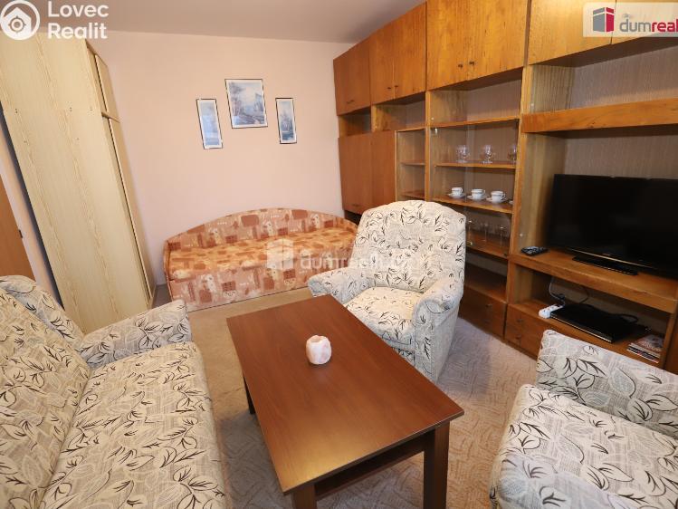 Pronájem bytu 1+1 Aš, Dlouhá č. 11