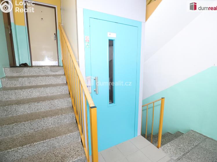 Pronájem bytu 1+1 Aš, Dlouhá č. 14