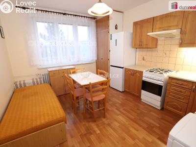 Pronájem bytu 1+1 Aš, Dlouhá č. 4