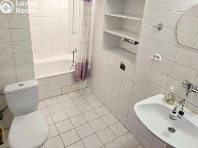 Pronájem bytu 2+1 Nové Strašecí č. 1