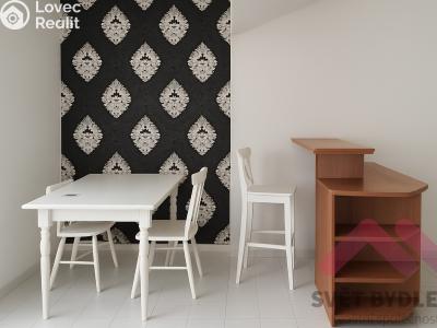 Pronájem bytu 1+KK Praha, bratří Dohalských č. 1