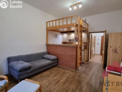 Pronájem bytu 1+KK Praha, Jagellonská č. 1