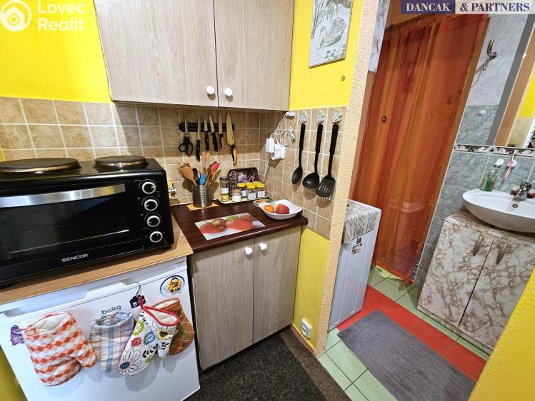 Оренда квартири 1+KK Frýdek-Místek, K Hájku č. 5