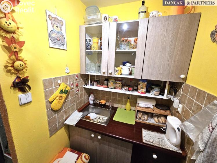 Оренда квартири 1+KK Frýdek-Místek, K Hájku č. 9