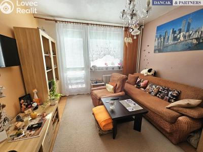 Pronájem bytu 1+KK Frýdek-Místek, K Hájku č. 1