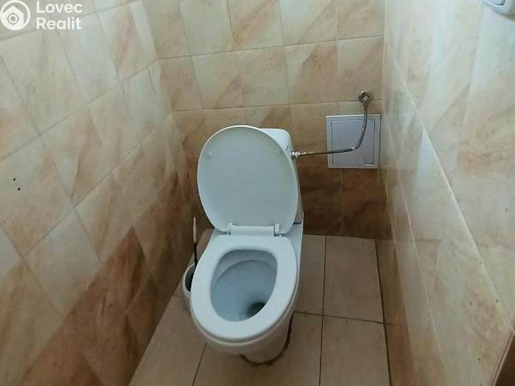 Pronájem skladového prostoru Jílové u Prahy, K Rotlevu č. 7