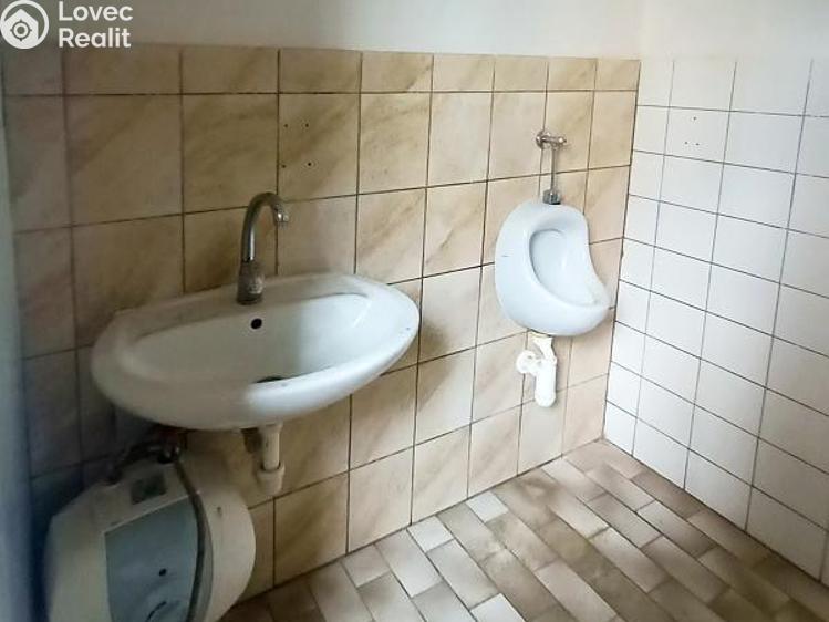 Pronájem skladového prostoru Jílové u Prahy, K Rotlevu č. 8