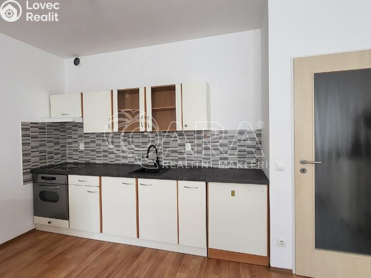 Prodej bytu 1+KK Milovice, Armádní 876 č. 2