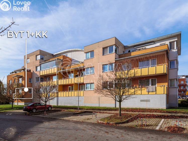 Pronájem bytu 1+KK Praha, Sicherova 1601/12 č. 18