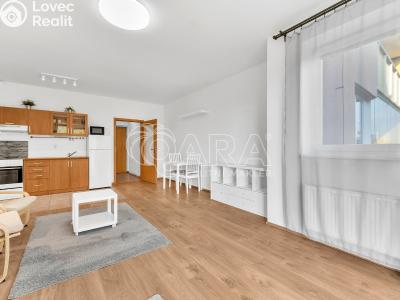 Pronájem bytu 1+KK Praha, Sicherova č. 1