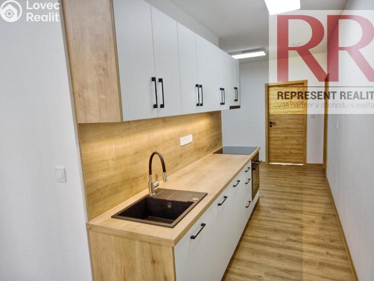 Pronájem bytu 2+1 Dobřany, Loudů č. 14