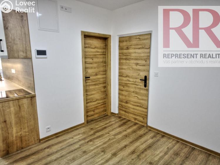 Pronájem bytu 2+1 Dobřany, Loudů č. 1