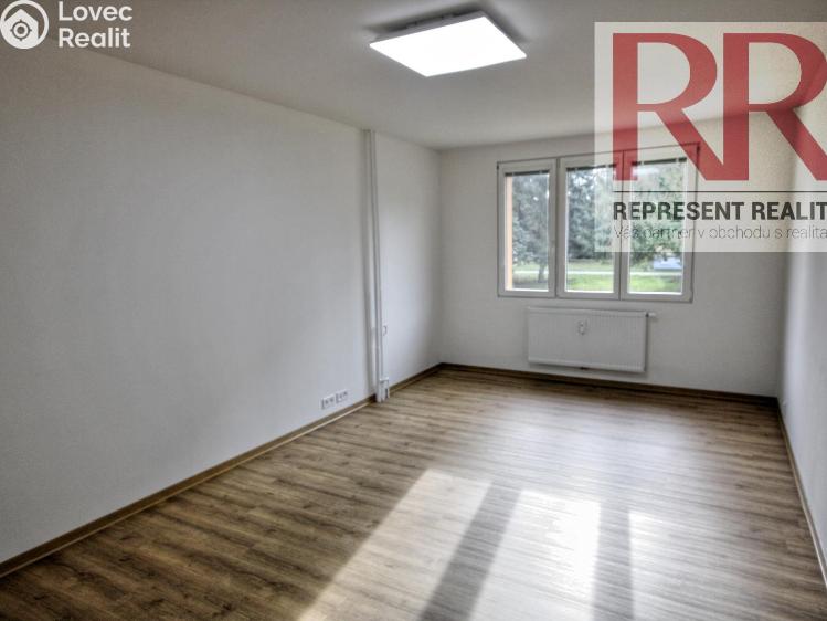 Pronájem bytu 2+1 Dobřany, Loudů č. 3