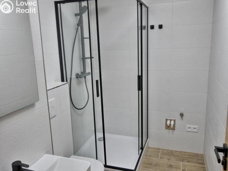 Pronájem bytu 2+1 Dobřany, Loudů č. 6