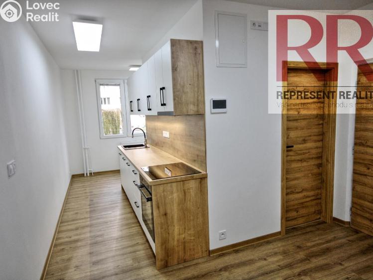 Pronájem bytu 2+1 Dobřany, Loudů č. 8