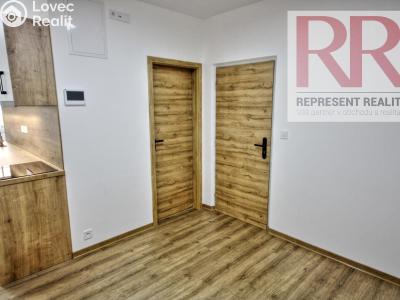 Pronájem bytu 2+1 Dobřany, Loudů č. 1