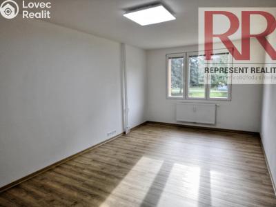 Pronájem bytu 2+1 Dobřany, Loudů č. 3