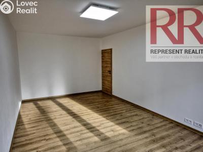 Pronájem bytu 2+1 Dobřany, Loudů č. 4