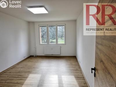 Pronájem bytu 2+1 Dobřany, Loudů č. 5