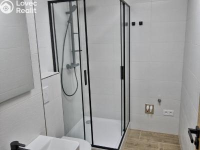 Pronájem bytu 2+1 Dobřany, Loudů č. 6