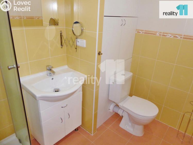 Pronájem bytu 1+KK Plzeň, Kaznějovská č. 9