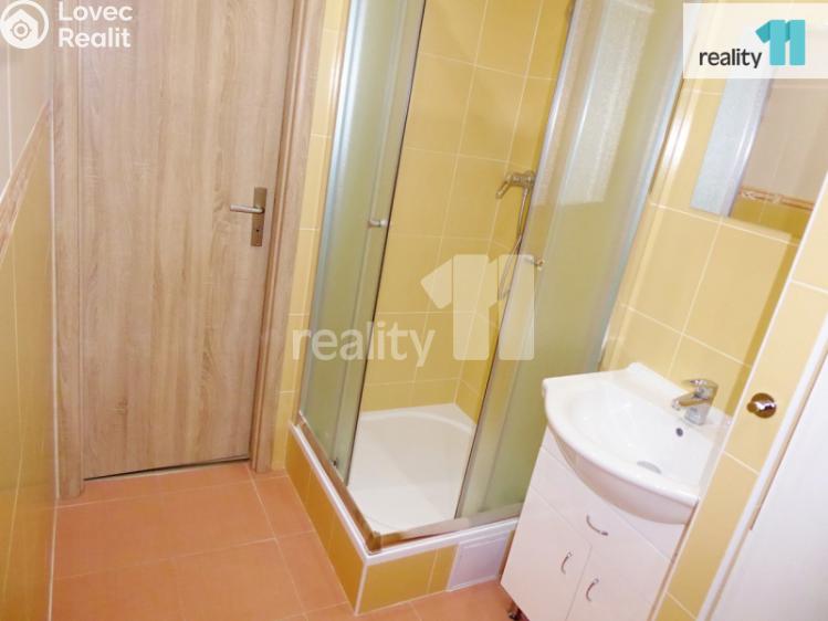 Pronájem bytu 1+KK Plzeň, Kaznějovská č. 10