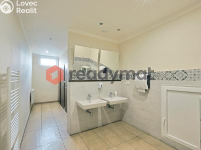 Rent office space Bzenec, Průmyslová č. 4