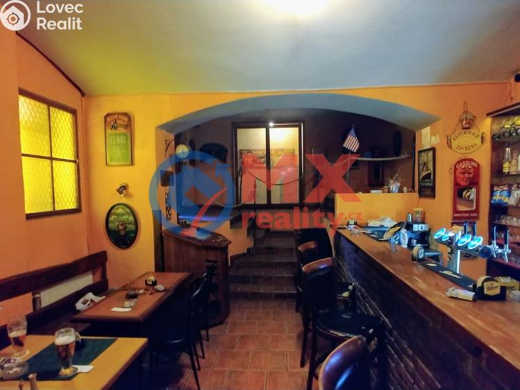 Pronájem ubytovacího zařízení Praha, Zenklova č. 1