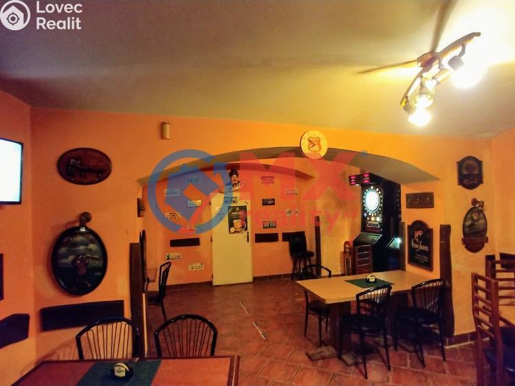 Pronájem ubytovacího zařízení Praha, Zenklova č. 2