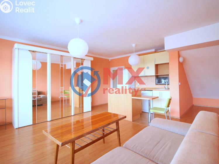 Rent apartment 1+KK Praha, Skloněná 921/7 č. 11