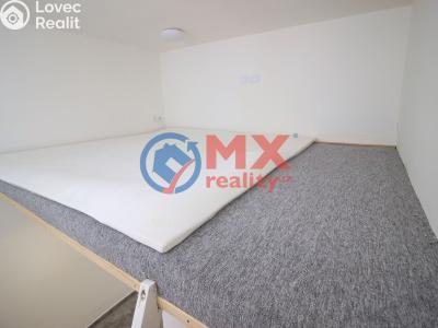 Sale apartment 2+1 Praha, Bělocerkevská č. 12