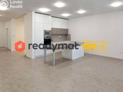 Pronájem bytu 1+KK Hodonín, Výstavní č. 2