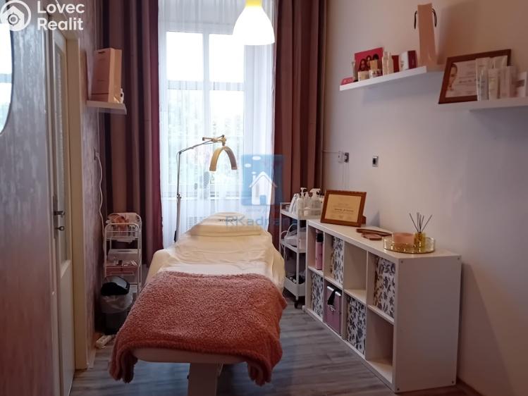 Pronájem kanceláře Plzeň, sady 5. května č. 5