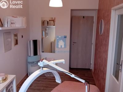 Оренда офісного приміщення Plzeň, sady 5. května č. 6