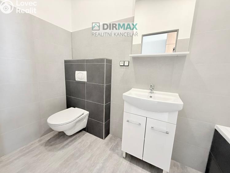 Pronájem bytu 1+1 Plzeň, Mikulášská č. 5