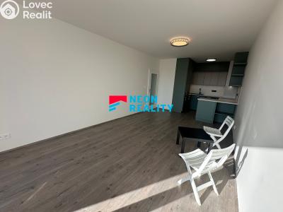 Rent apartment 2+KK Opava, Císařského pluku č. 4
