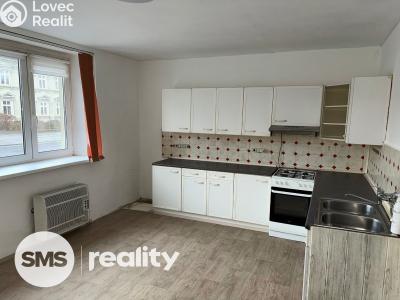 Sale apartment 1+1 Krnov, Revoluční č. 1