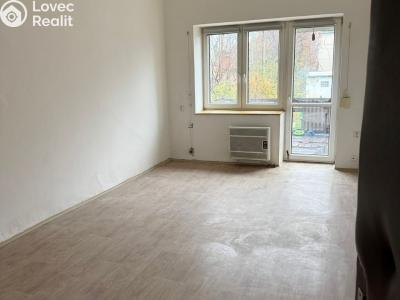 Sale apartment 1+1 Krnov, Revoluční č. 3