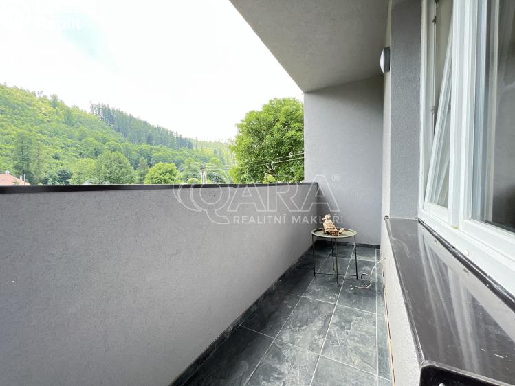 Pronájem bytu 1+1 Město Albrechtice č. 9