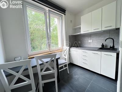 Pronájem bytu 1+1 Město Albrechtice č. 1