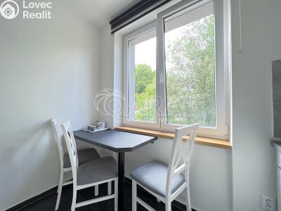 Pronájem bytu 1+1 Město Albrechtice č. 2