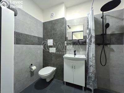 Pronájem bytu 1+1 Město Albrechtice č. 4