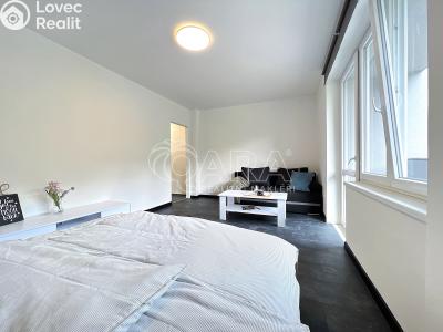 Pronájem bytu 1+1 Město Albrechtice č. 6