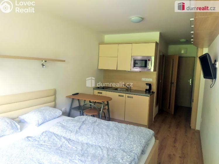 Pronájem bytu 1+KK Všemina č. 6