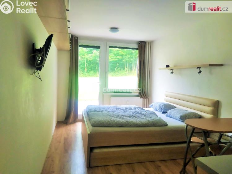 Pronájem bytu 1+KK Všemina č. 7