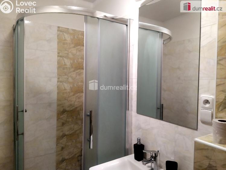 Pronájem bytu 1+KK Všemina č. 9