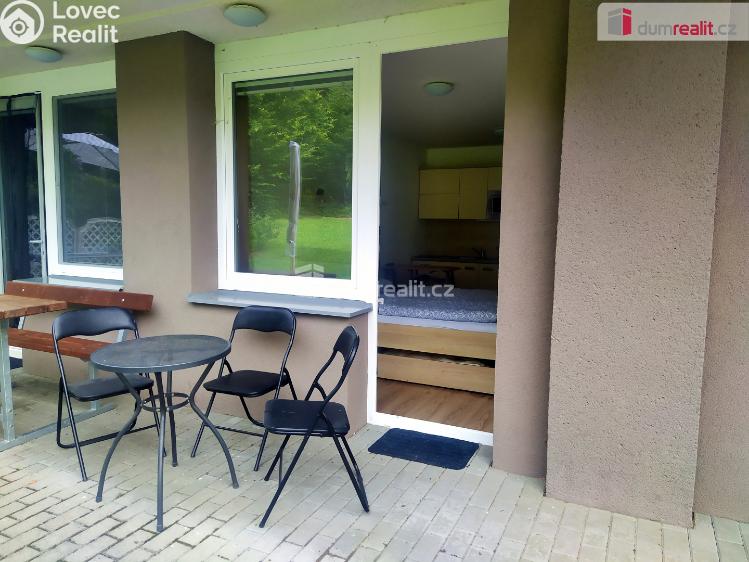 Pronájem bytu 1+KK Všemina č. 10