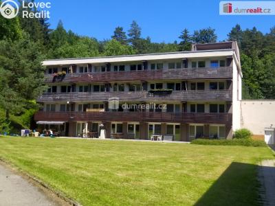 Pronájem bytu 1+KK Všemina č. 1