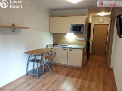 Pronájem bytu 1+KK Všemina č. 5